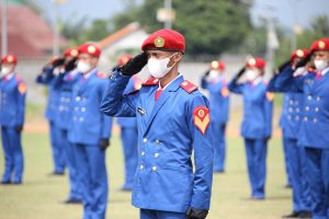 5 Sekolah Kedinasan Paling Dicari, Lengkap dengan Prospek Kariernya