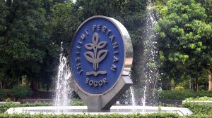 Update Terbaru Biaya Kuliah Institut Pertanian Bogor (IPB) TA 2024/2025
