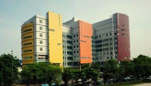 Top 5 Sekolah Internasional di Jakarta dengan Program IB yang Diakui Dunia