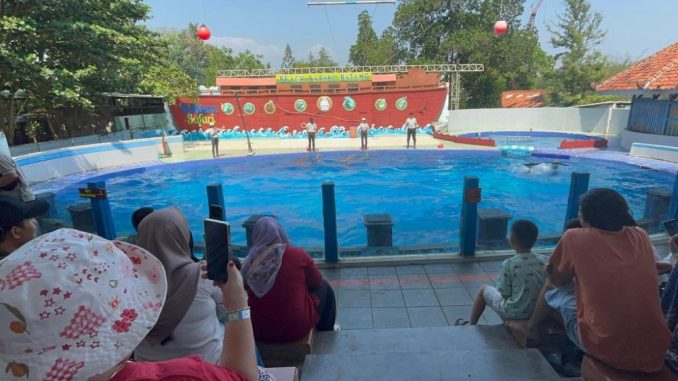 20-250703174943berita13946_Sejumlah_wisatawan_melihat_pertunjukan_lumbalumba_di_Safari_Beach_Jateng_Batang