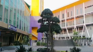Update Terbaru Biaya Kuliah Universitas Pakuan (UNPAK) TA 2025/2026