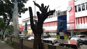 Update Terbaru Biaya Kuliah Kelas Karyawan Universitas Sangga Buana (USB) TA 2025/2026