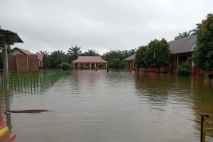 Banjir Terjang Pasaman Barat, Dinas Pendidikan Laporkan 23 Sekolah Alami Kerusakan