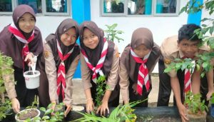 Sekolah Hijau dan Mandiri Pangan Jadi Target Gerakan Tanam Cabai Pelajar SMPN 4 Sindang