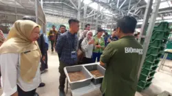 Pengolahan Sampah Berbasis Maggot Masuk Sekolah, Ini Langkah DLHK Depok Edukasi Siswa