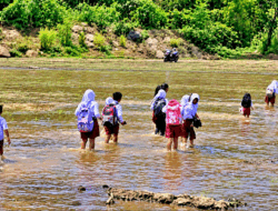 Siswa SD di Pidie Jaya Terpaksa Seberangi Sungai Setiap Hari, Keselamatan Jadi Sorotan