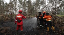Realiza Anti Chamas Diuji Coba untuk Padamkan Karhutla di Lahan Gambut Banyuasin