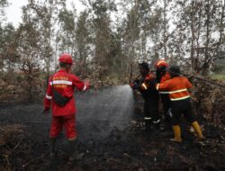 Realiza Anti Chamas Diuji Coba untuk Padamkan Karhutla di Lahan Gambut Banyuasin