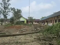 Siswa SMAN 1 Simpang Ulim Demo, Protes Penebangan Pohon